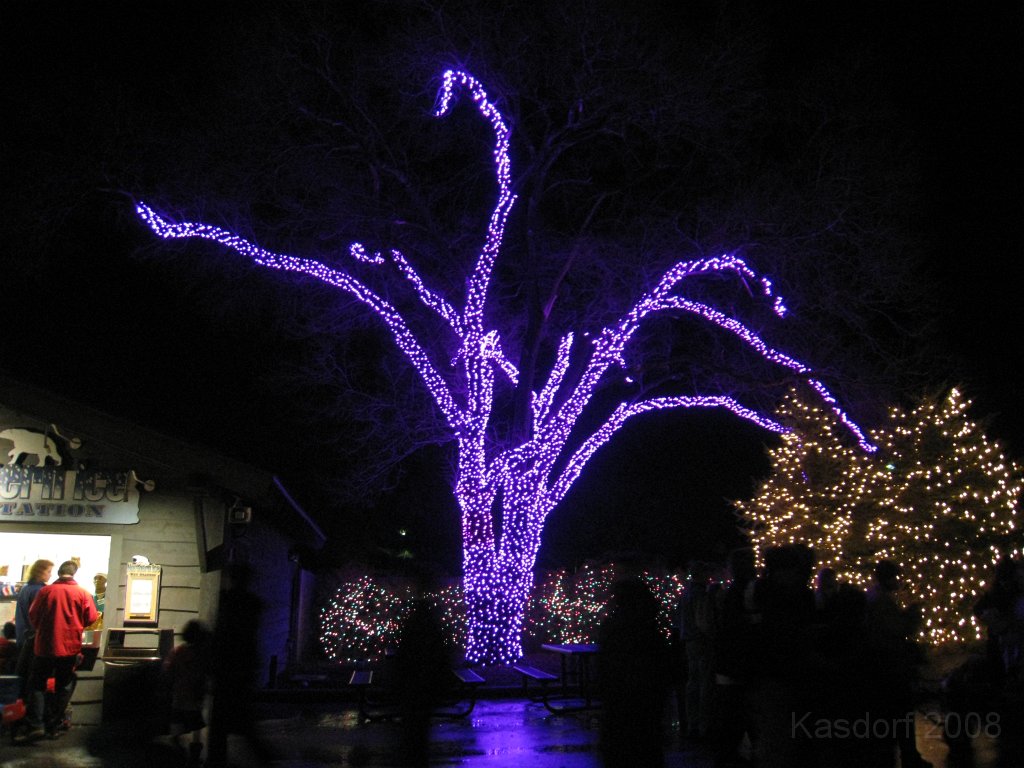 Toledo Zoo Lights 2008 022.jpg - The regular visit to the Toledo Ohio Zoo to see the Christmas Lights displays. New this trip were the "Dancing Lights", displays flashing in time with the Christmas Songs.